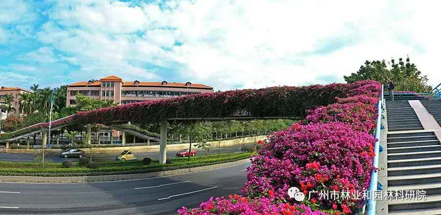 1574680420218214.jpg 微信圖片_20190506182703.jpg